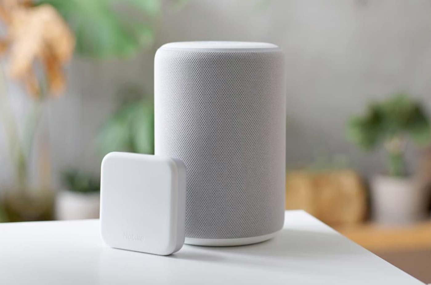 Juicy Fruits That Enhance Daily Nutrition