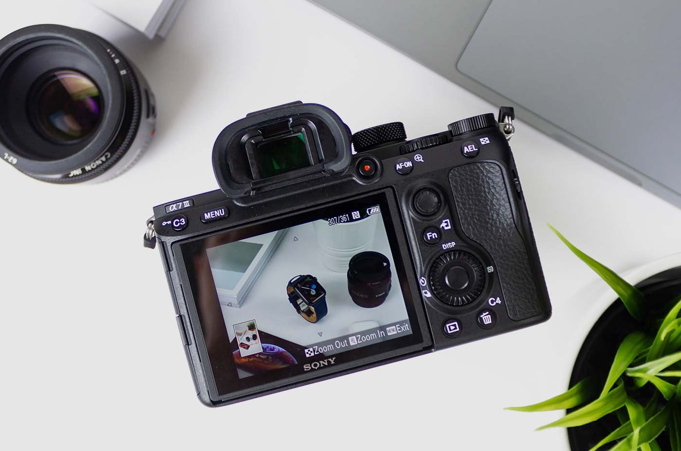 Market Vegetables for Everyday Cooking